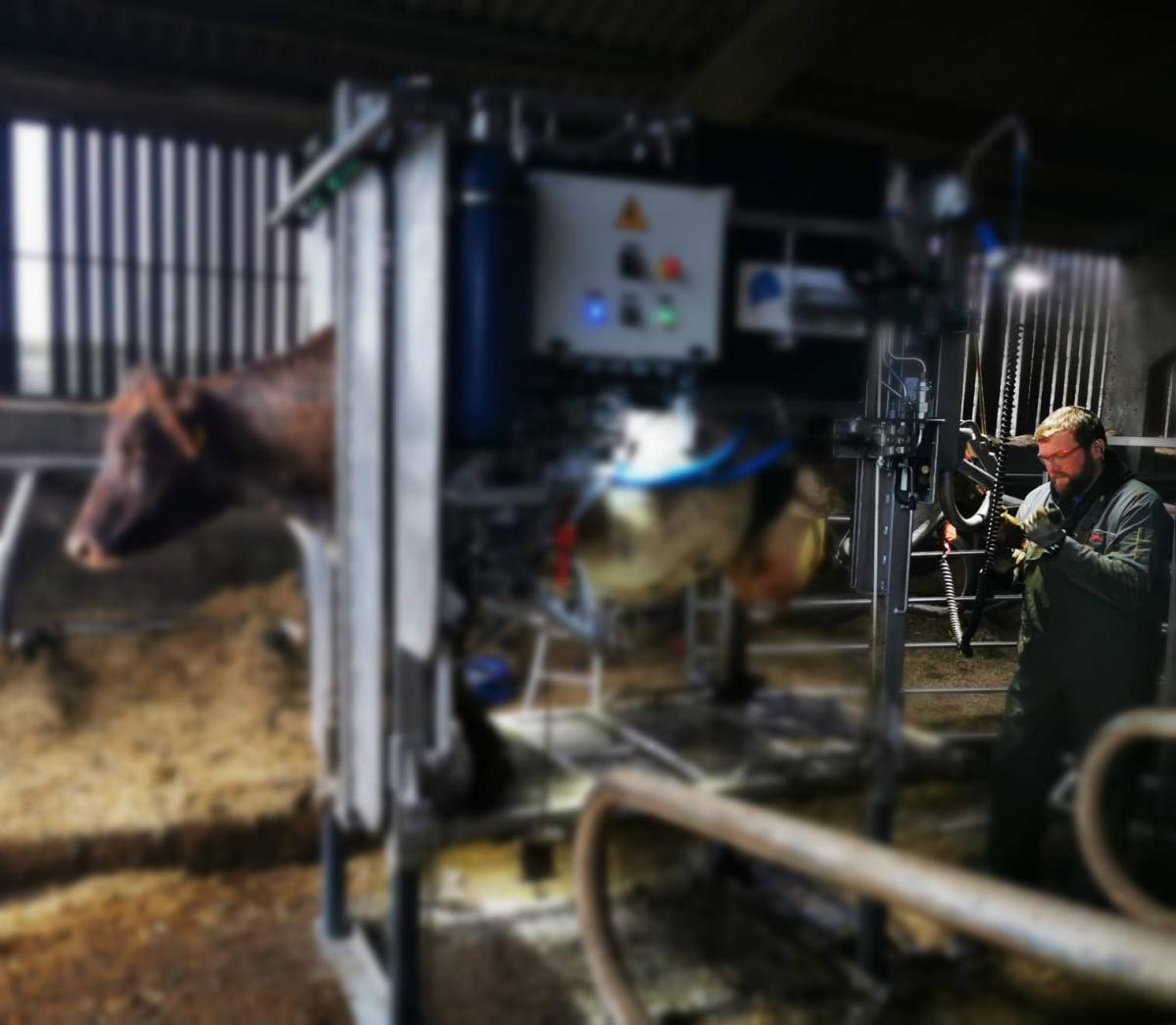 Image of Another day in the life of a Wales and South West Hoof Trimmer