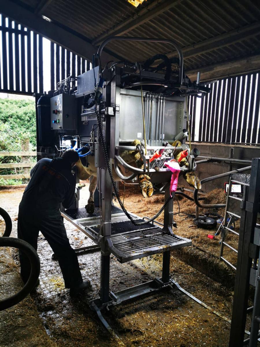 Image of Another day in the life of a Wales and South West Hoof Trimmer