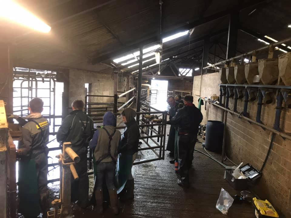 Image of Cattle Foot Trimming Trainees on Our Courses